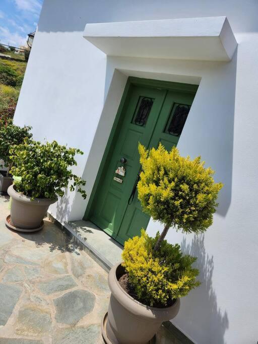 Stellinas Pretty House Villa Ándros Eksteriør billede